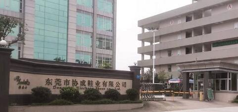 東莞市協(xié)成鞋業(yè)有限公司