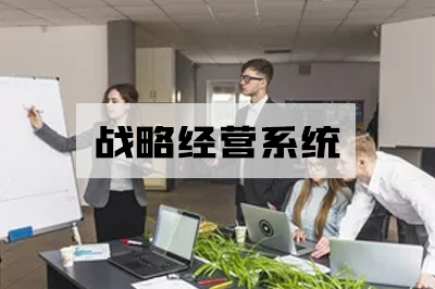 战略经营系统